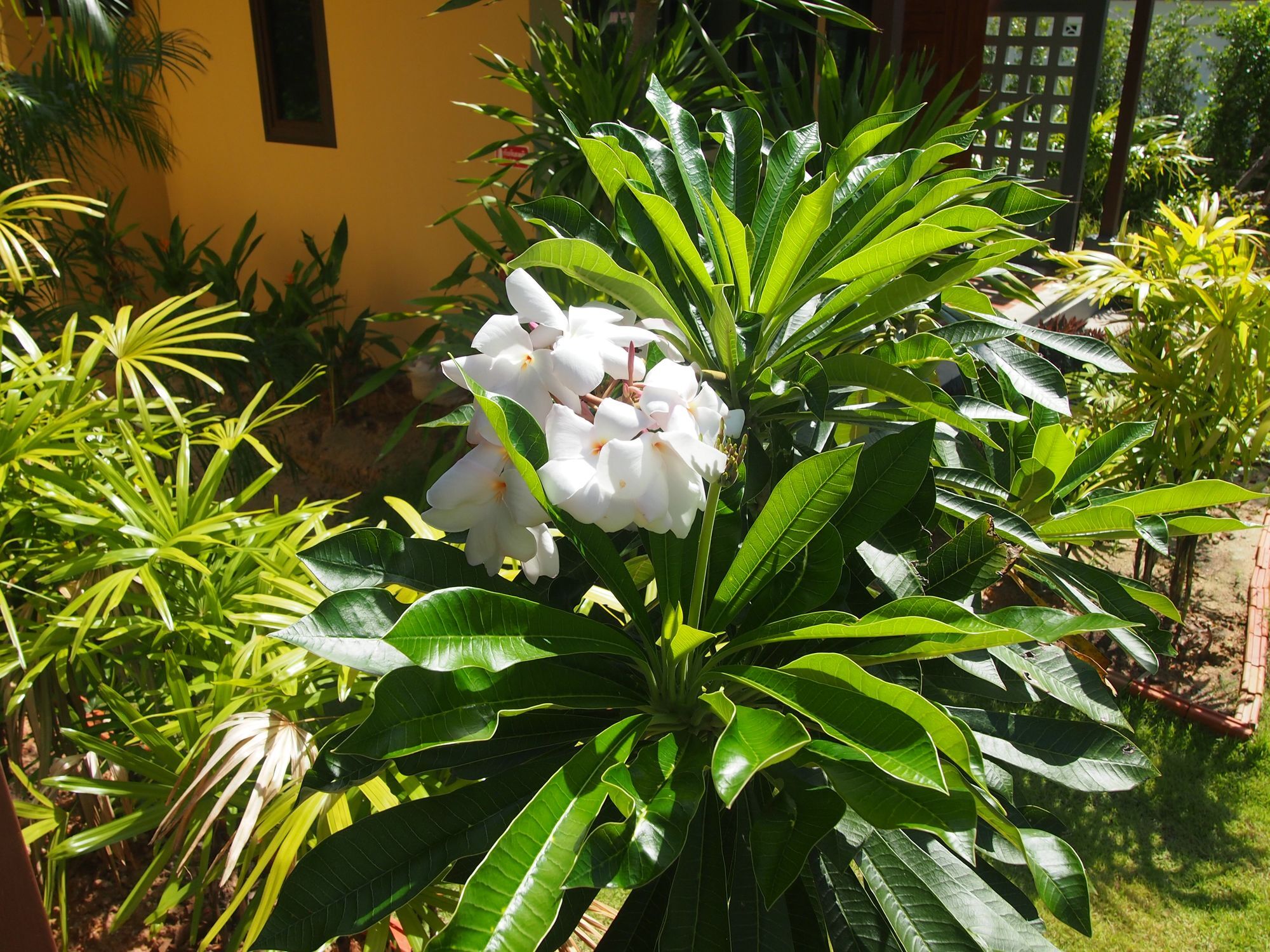 AT Bangsak Resort Khao Lak Exterior foto